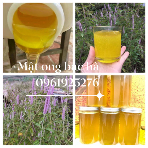 MẬT ONG BẠC HÀ ĐỒNG VĂN HÀ GIANG