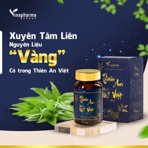 Thiên An Việt
