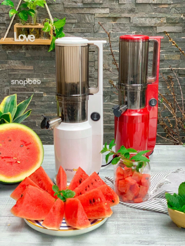 máy ép chậm snapbee 202 US